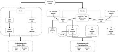 Life Course Tobacco Smoking and Risk of HPV-Negative Squamous Cell Carcinomas of Oral Cavity in Two Countries